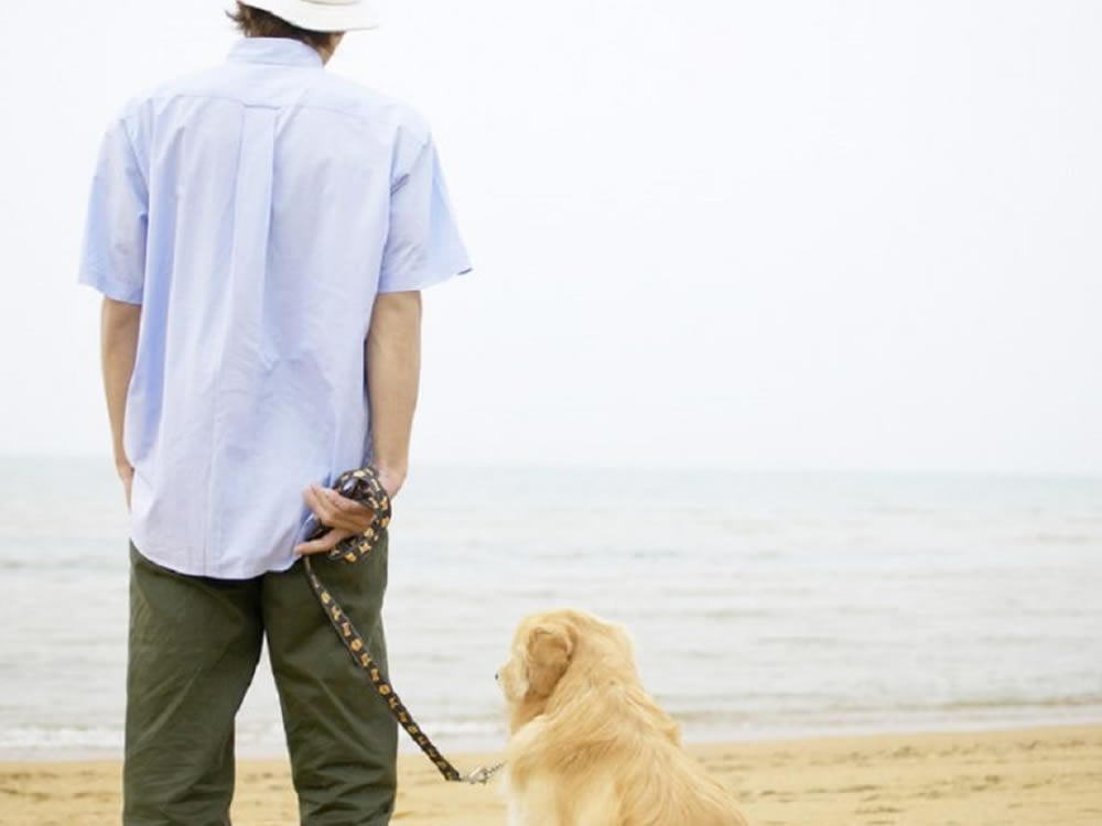 Man and dog on beach, considering the transition into retirement