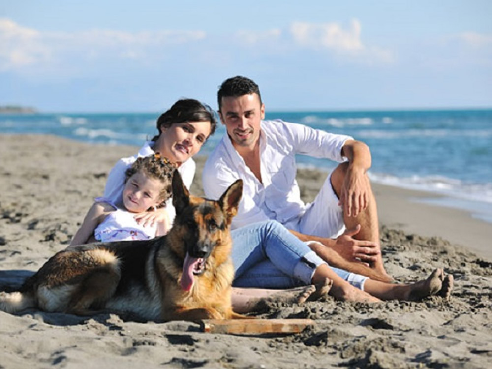 Family and dog on beach near where they are buying a vacation home