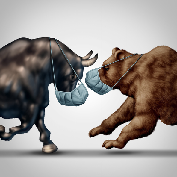 A COVID-19 Bull Market in a Bear Market Environment